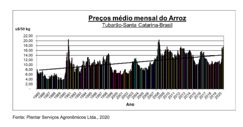 A ILUSÃO DO PREÇO DE ARROZ ALTO É CONFIRMADA