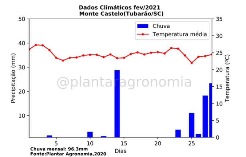 Chuvas e temperaturas no mês de fevereiro/21, em Tubarão/SC